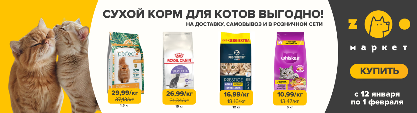 Сухой корм кошки выгодно